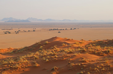 Fototapeta na wymiar Dune in Desert - Namibia - Sossusvlei