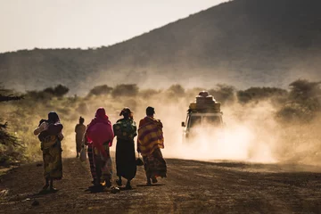 Afrikanisches Vieh © birtoiu