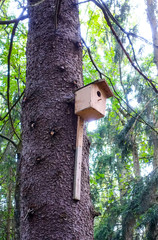 Birdhouse on a tree