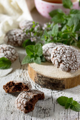 Chocolate-mint cookies and powdered sugar on a wooden background