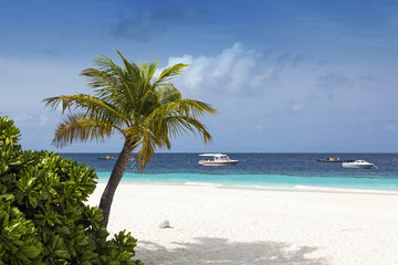 Boats on tropical white sand beach
