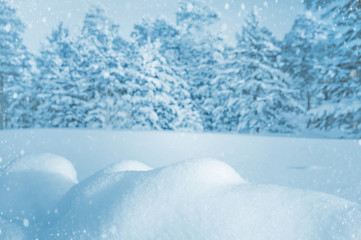 Winter landscape with snowdrifts and snow-covered forest