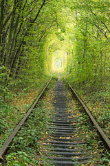 Obraz premium Old railway line. Nature with the help of trees has created a unique tunnel. Tunnel of love - wonderful place created by nature. Klevan. Rivnenskaya region. Ukraine.