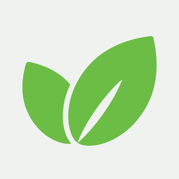 eco bio leaves plant green icon on white background