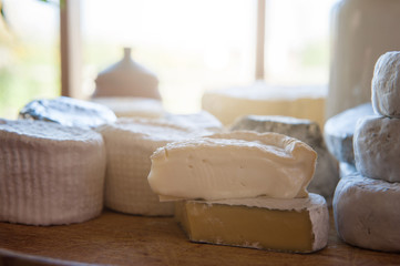 Set of different cheese