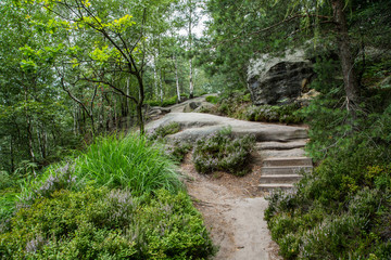 Sandiger Wanderweg, Natursteintreppe, märchenhafte Natur, Nationalpark Sächsische Schweiz