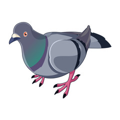 Pigeon isometric icon