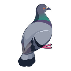 Pigeon isometric icon