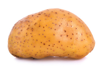 Potato white background
