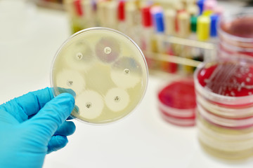 Antimicrobial susceptibility testing in petri dish
