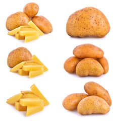 Potato sticks white background