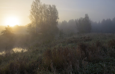 Autumn morning.Small forest river Torgosha in Moscow region,Russia.