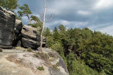 Umgebung Carolafelsen, Nationalpark Sächsische Schweiz