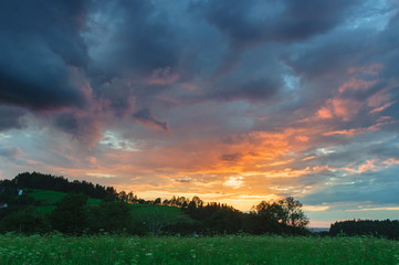 Zielone wzgórze z drzewami o zachodzie słońca i pochmurnym niebem