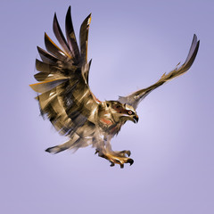 art bird of prey hawk in attack