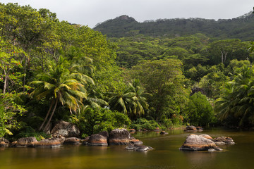 Fototapeta premium Silhouette Island - Tropical Jungle