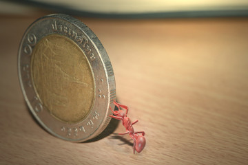 Ant / View of toy ant pushing coins. Warm tone.