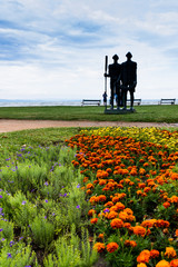flower field at Balaton, Siofok