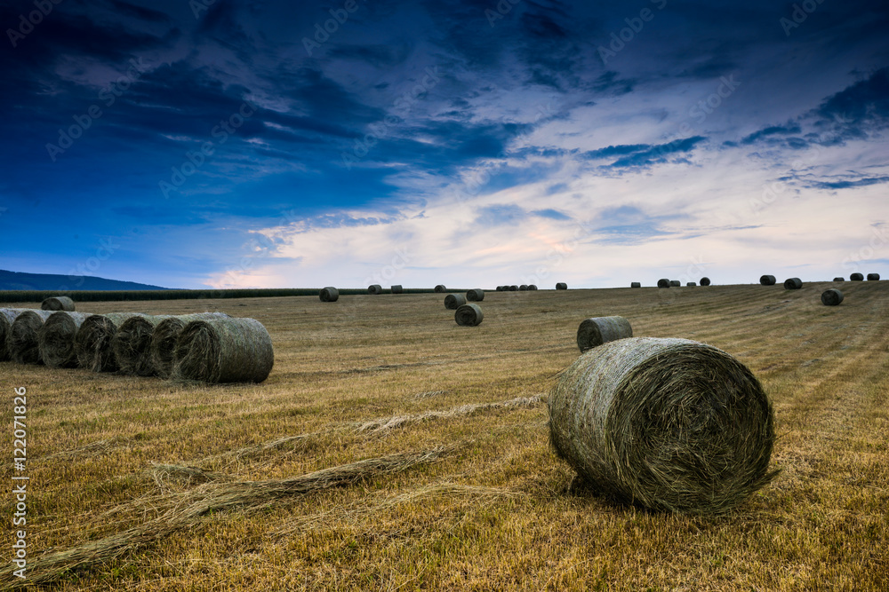 Wall mural baled hay rolls at sunset