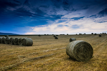 Baled Hay Rolls at Sunset