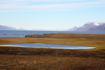 Landschaft-Spitzbergen