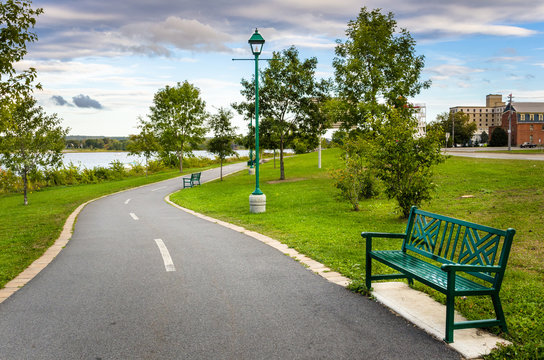 Windin&igrave;g Riverside Path Lined with Benches and Trees
