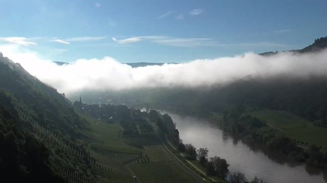 Moseltal vom Apolloweg Valwig aus im Morgennebel