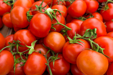 red tomatoes background. Group of tomatoes
