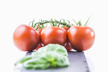 Italian Tomato Basil loves - the basis for a tasty Mediterranean appetizer.
