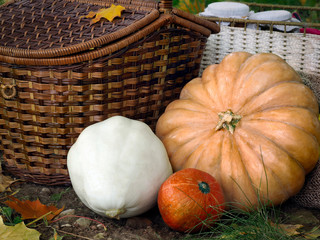 The autumn harvest from the garden on a glade with autumn leaves. Shopping, pumpkin and squash