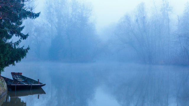 Au bord de l'Ill sous la brume &agrave; La Wantzenau