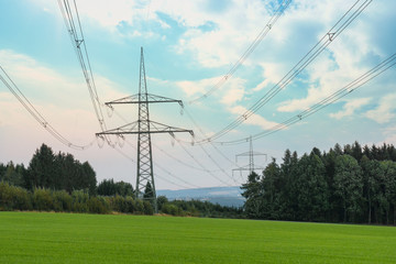 Stromtrasse trennt einen Wald