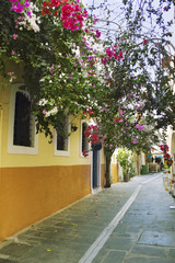 Fototapeta na wymiar Beautiful street on Crete. Greece.