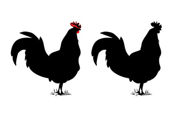 Rooster silhouette vector