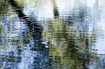Fototapeta na wymiar Reflection of trees in water