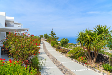 Path in garden on Santorini island, Greece