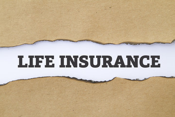 LIFE INSURANCE word written under burnt torn paper.