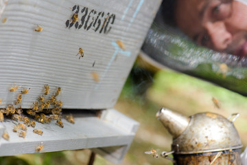 Closeup of beehive and man's face