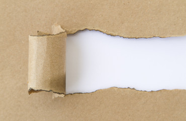 Blank burnt torn paper. Write your message.