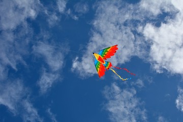 Joli cerf-volant aux couleurs vives dans le ciel bleu en Bretagne plage de Trestel