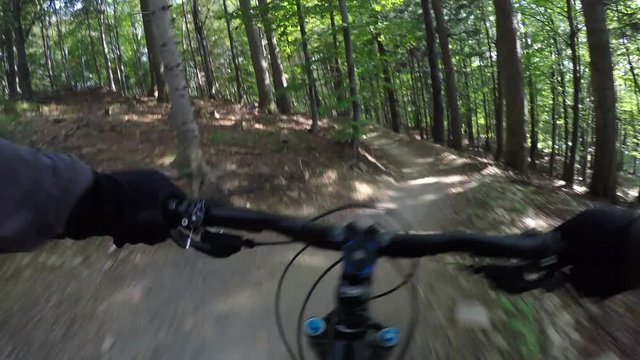 Mountain biker riding on bike in the forest mountains landscape. Man cycling MTB on enduro trail path.

