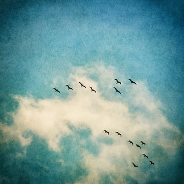Birds and Clouds. A vintage rendition of flying seagulls and clouds with a textured paper background. Image displays a strong texture and grain pattern.