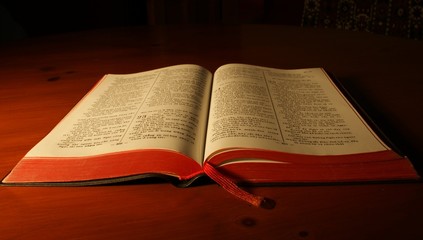 Large open Vietnamese Bible with subdued background.