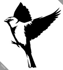 black and white paint draw tit bird vector illustration