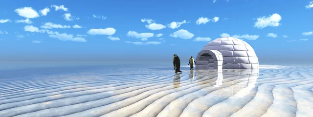 Fotobehang penguins coming out of an igloo © juanjo