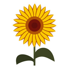 Sun flower icon in flat style isolated on white background. Plant symbol vector illustration