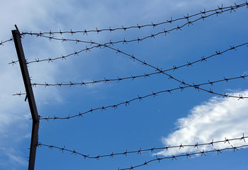 Barbed wire fence