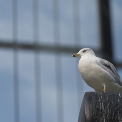Parliament Hill, Ottawa, Ontario, Canada