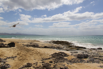 Strand von Costa Calma, Jandia, Fuerteventura, Spanien