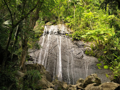 La Coca Falls In El Yunque National Rainforest